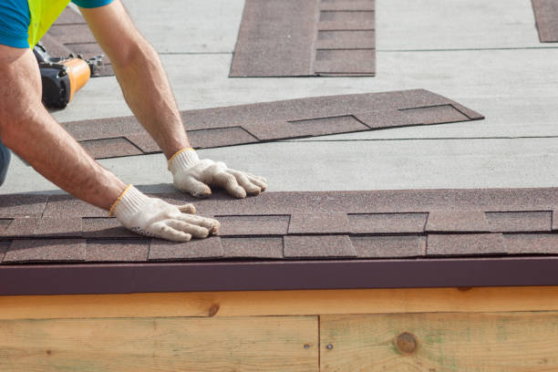 Best Skylight Installation and Repair  in Tok, AK